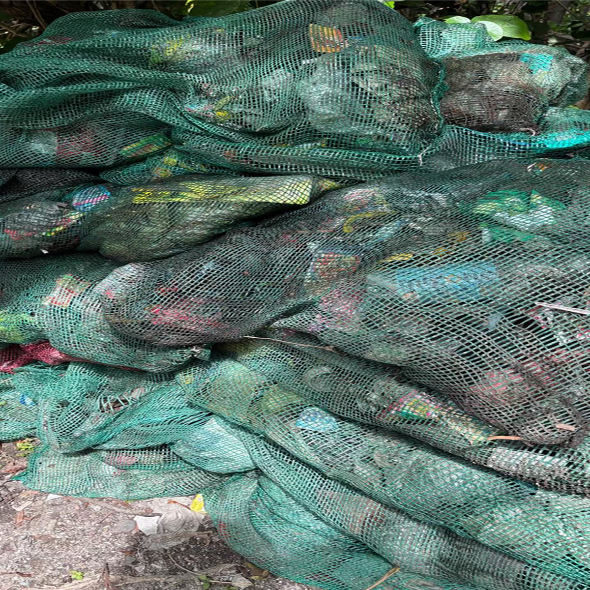 Waste collected around Mangrove Point